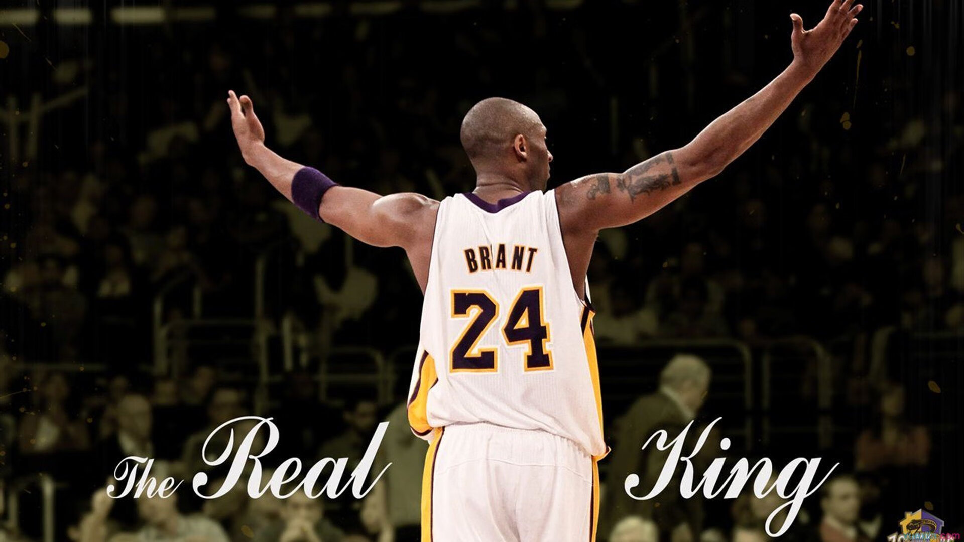 德甲争冠夜，努涅斯，从笑柄到焦点的逆袭之路