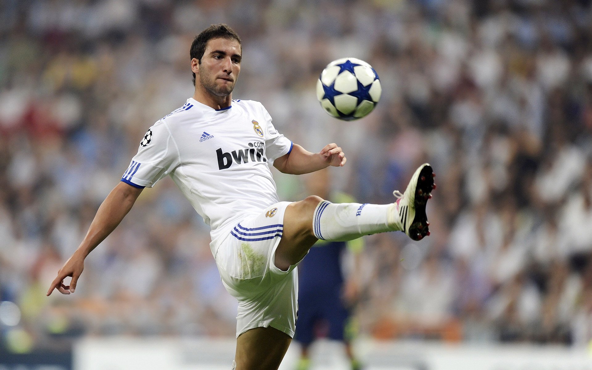 2026世界杯之夜,加克波完成里程碑,橙衣军团的新王冠与旧灵魂